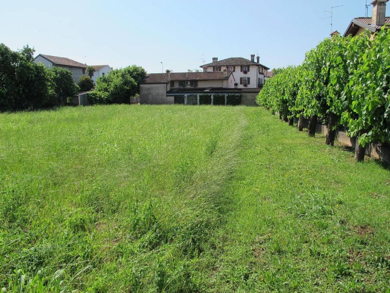 immagine annuncio 1 di 8