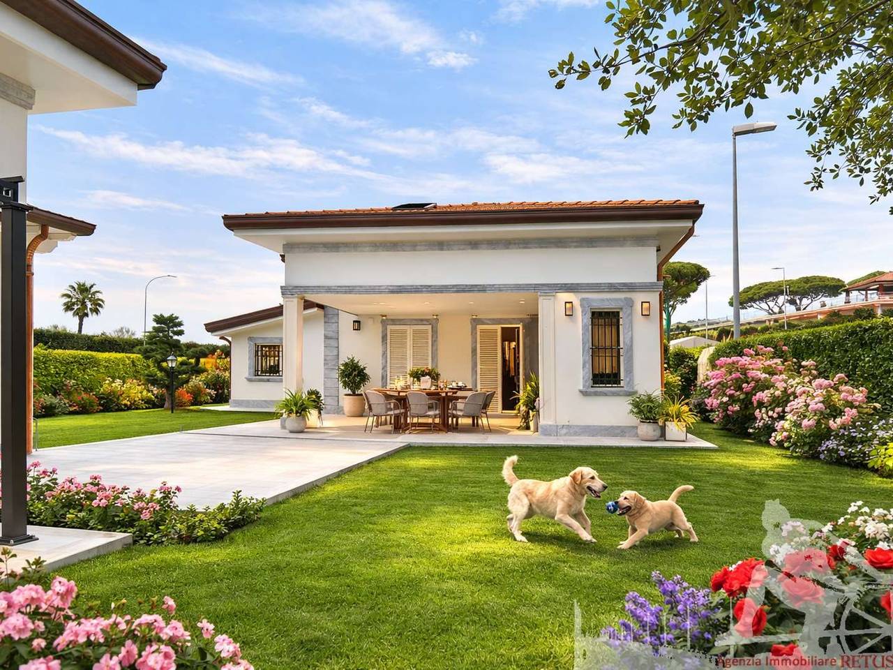 immagine annuncio 3 di 7