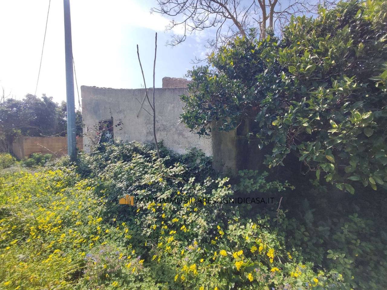 immagine annuncio 7 di 11