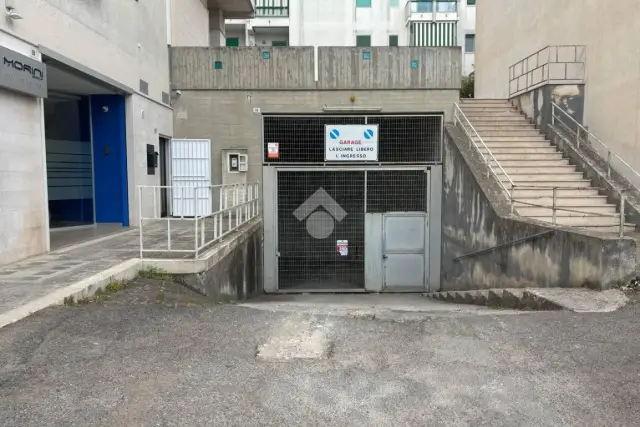 insertion image