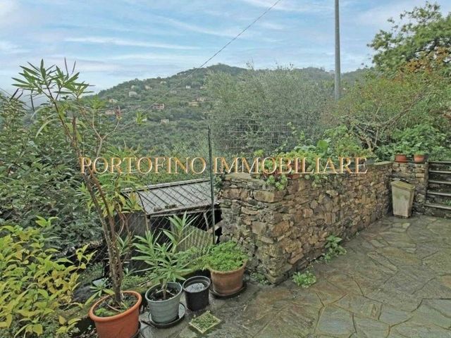 3-room flat in Via Franco Molfino, Camogli - Photo 1