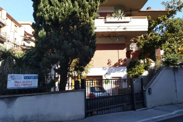 insertion image