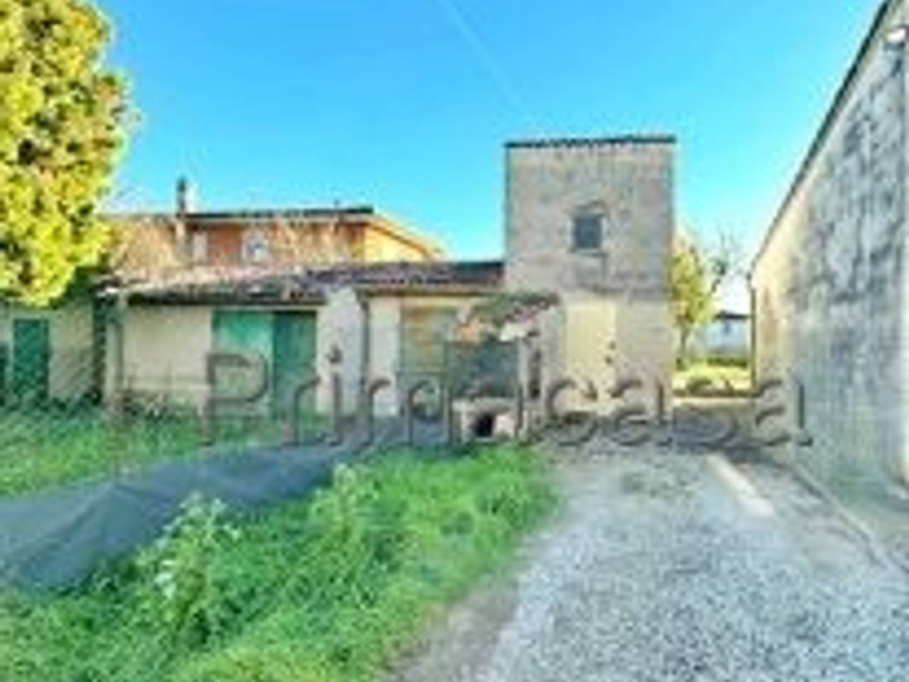 immagine annuncio 6 di 7