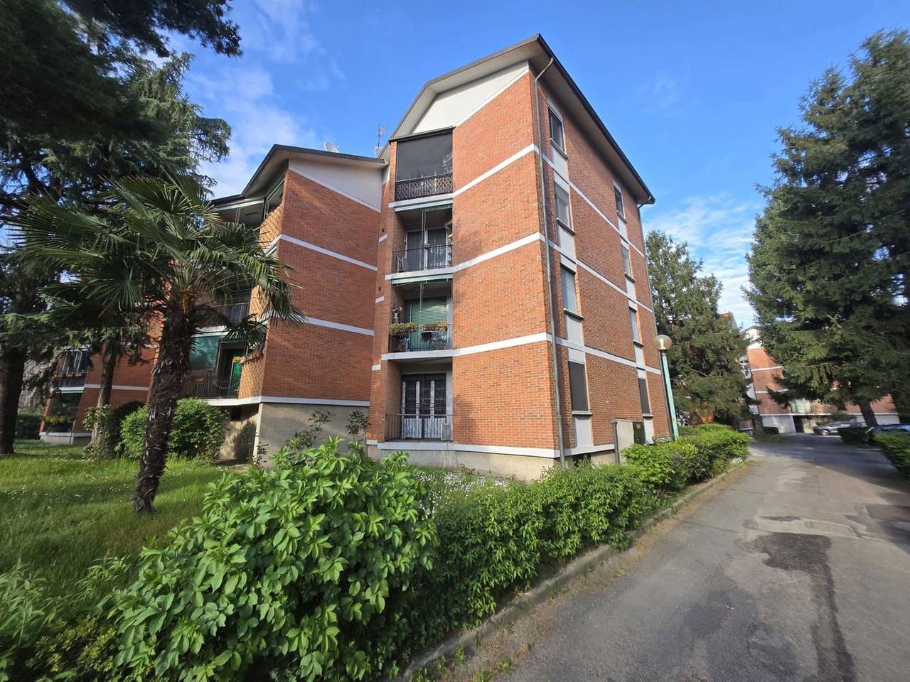 immagine annuncio 3 di 15