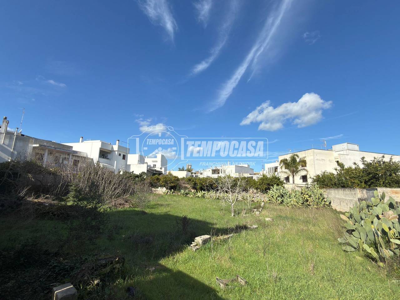 immagine annuncio 12 di 14