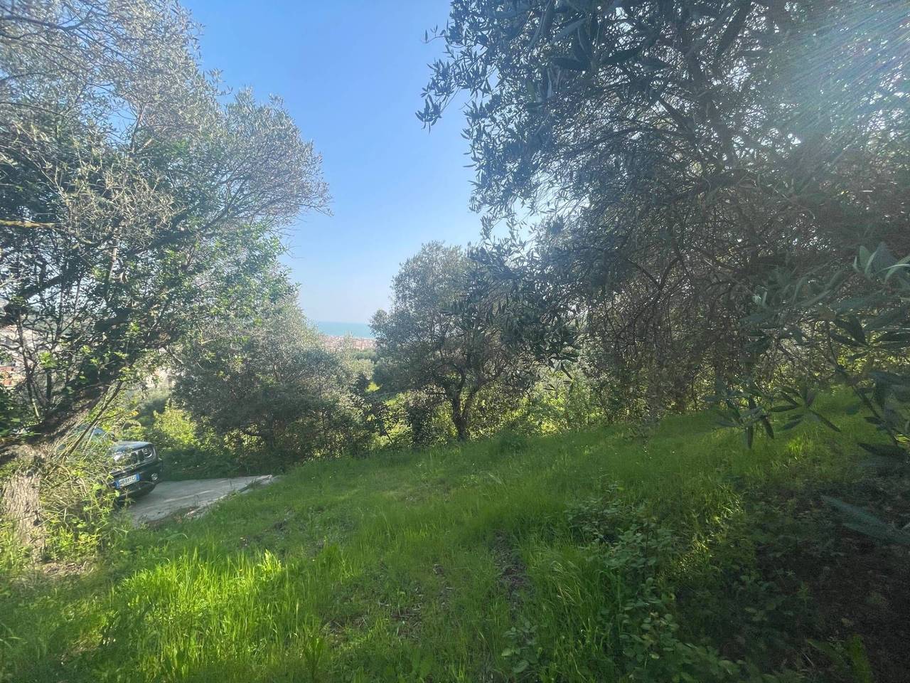 immagine annuncio 5 di 11