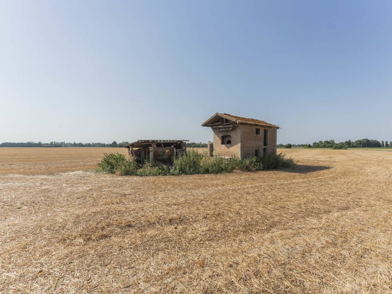 immagine annuncio 7 di 14