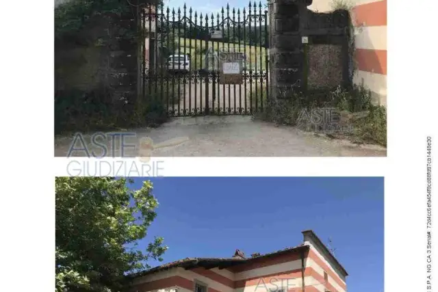 insertion image