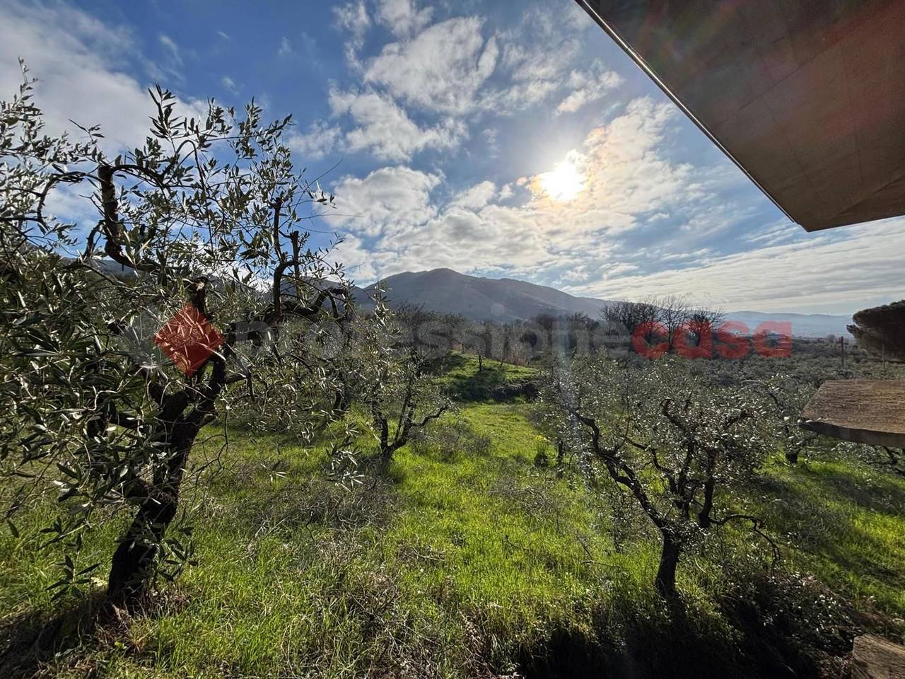 immagine annuncio 13 di 14