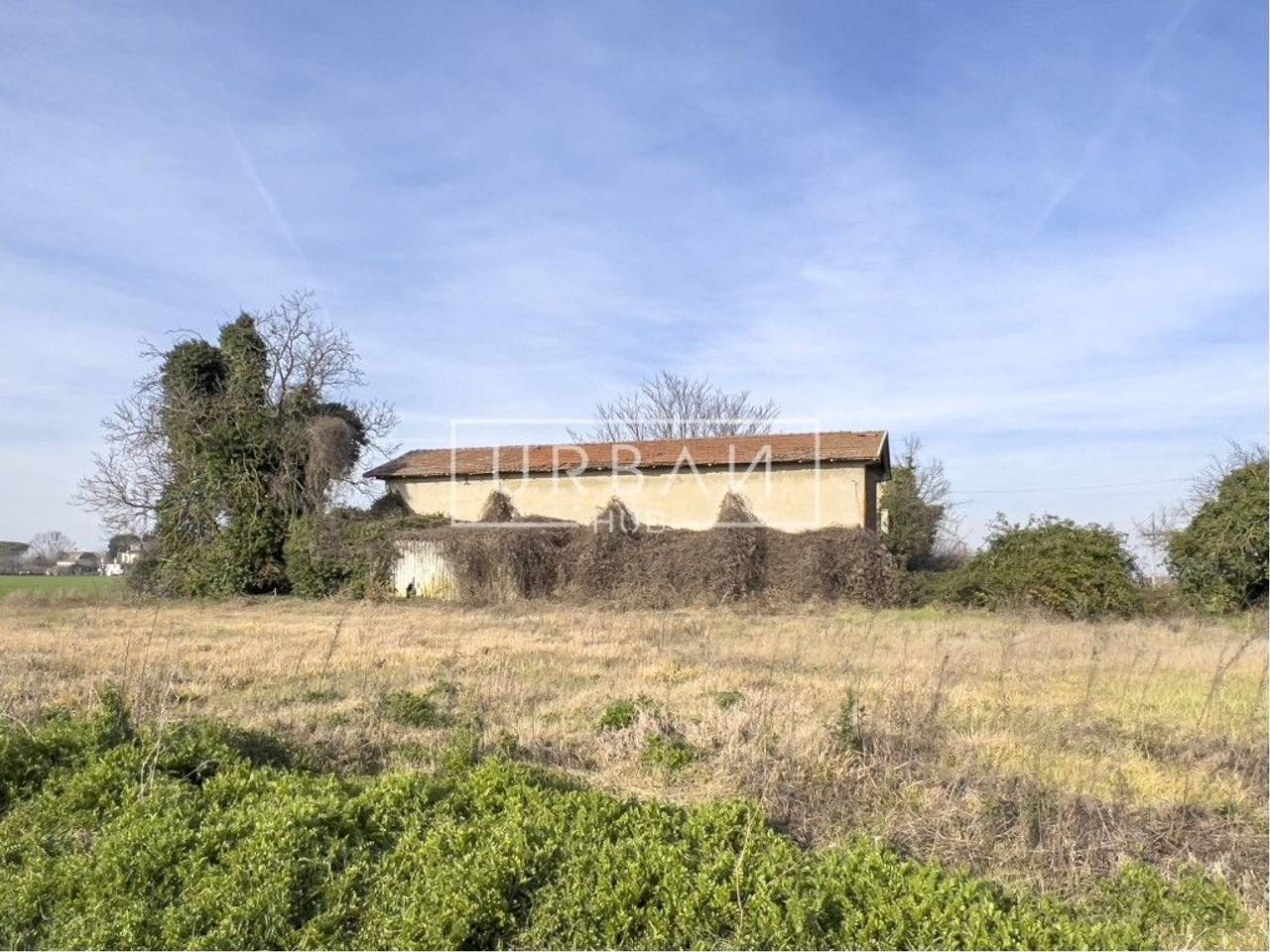 immagine annuncio 4 di 6