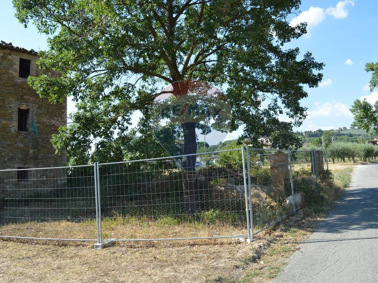 immagine annuncio 13 di 14