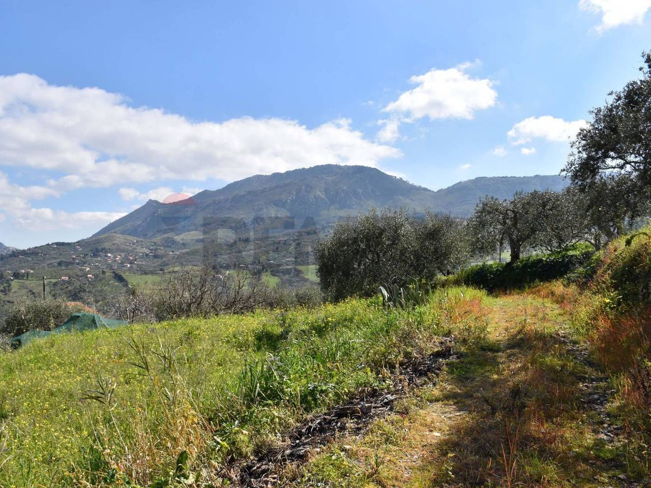 immagine annuncio 7 di 14