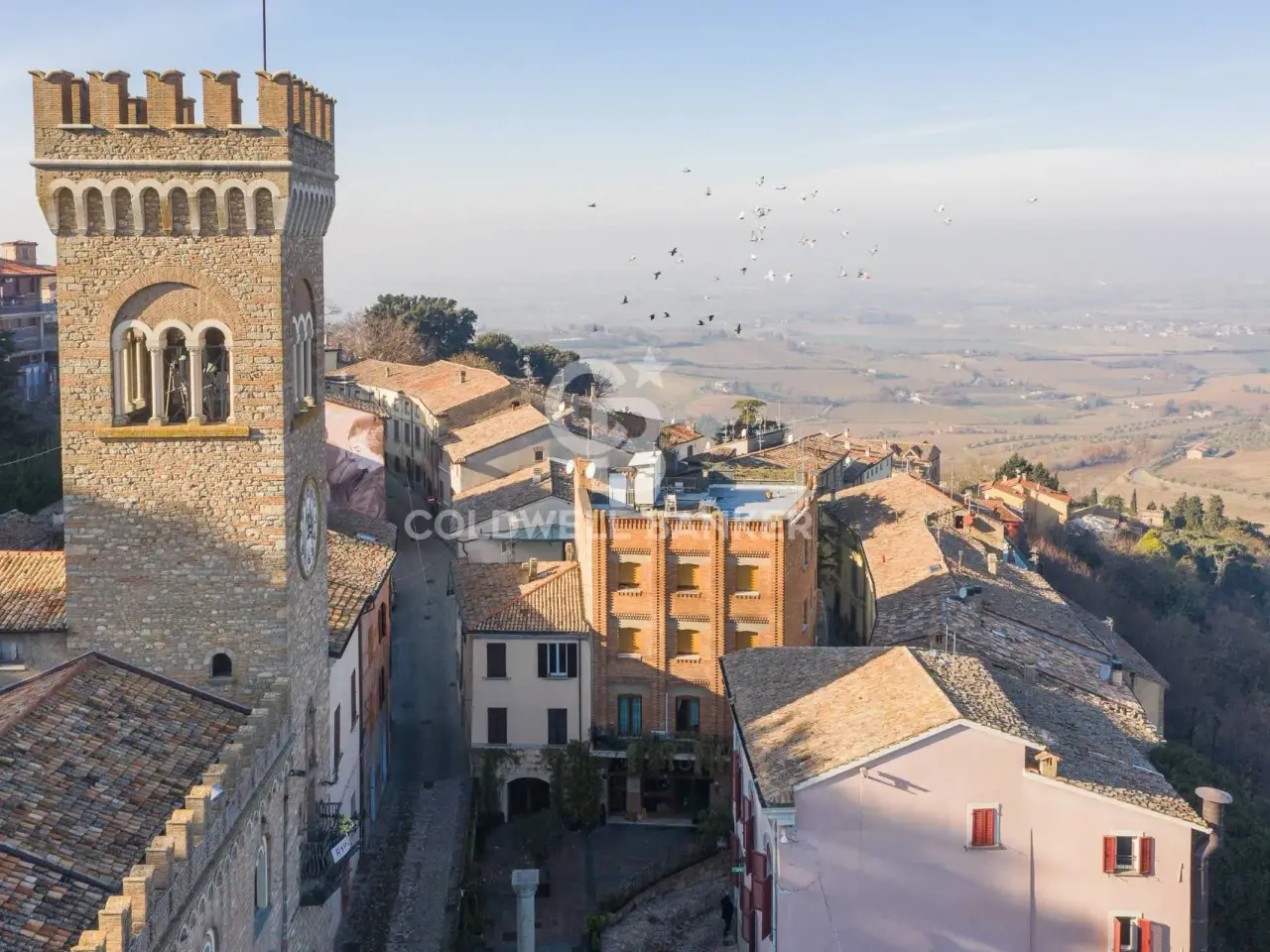 Esercizio commerciale in Piazza della Libertà 8a, Bertinoro, {3} - Foto 2