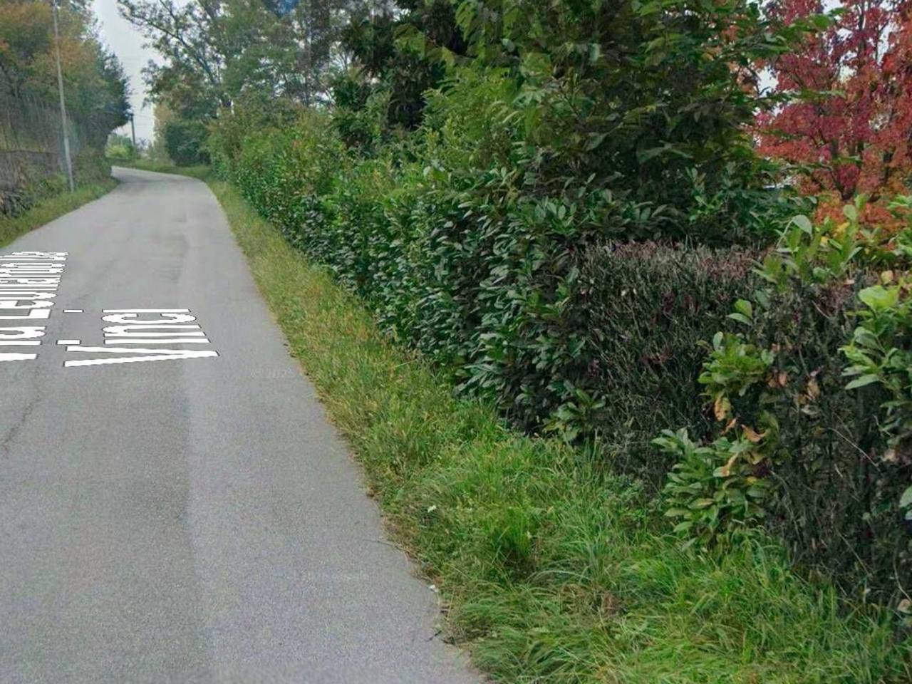 immagine annuncio 9 di 13