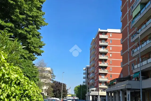 insertion image