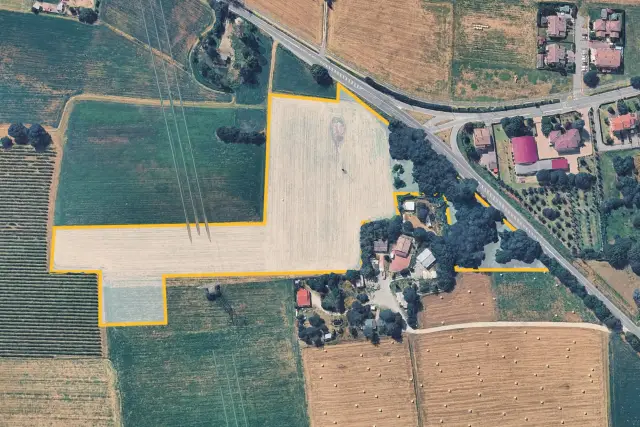 insertion image