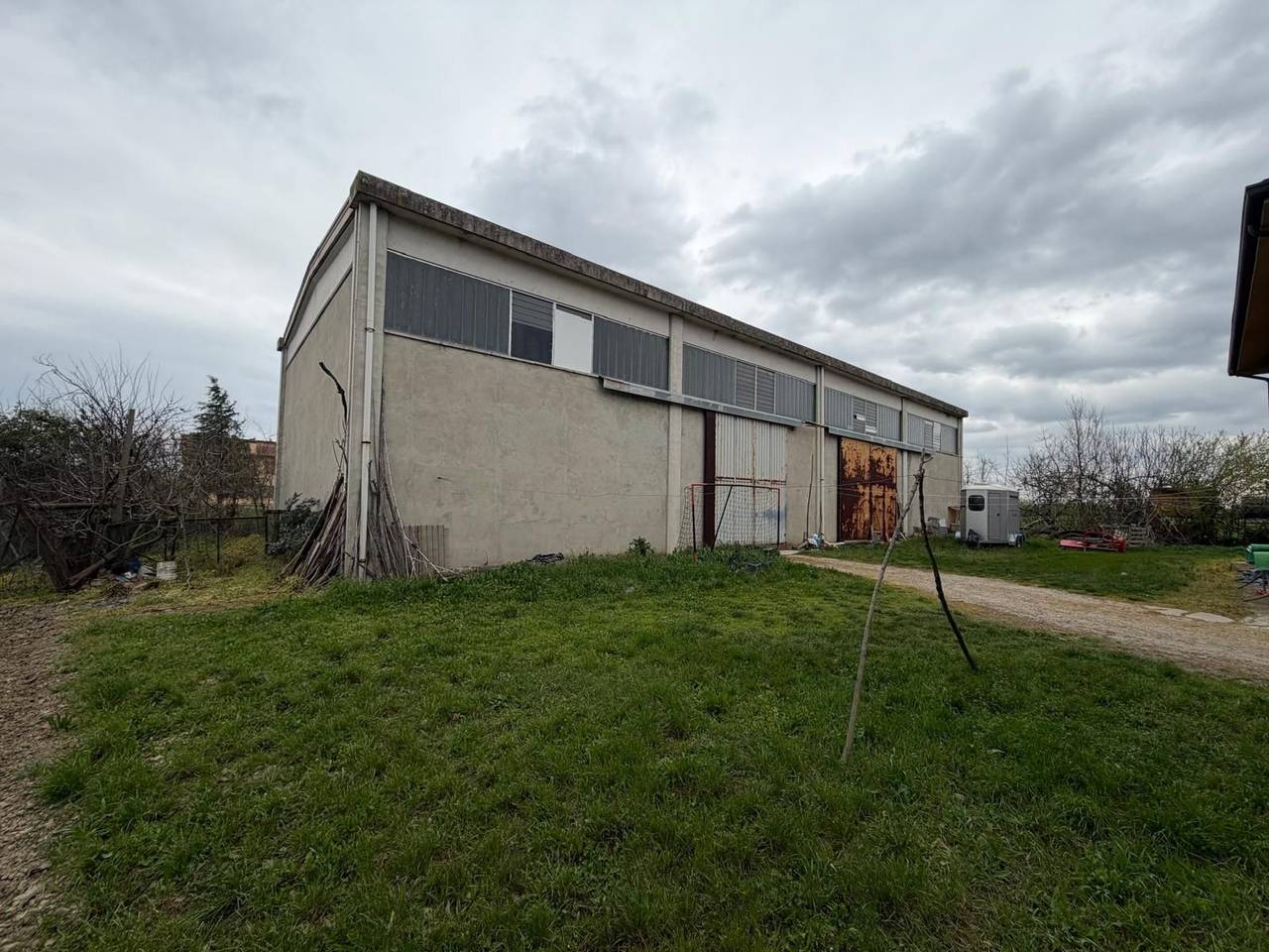 immagine annuncio 7 di 12