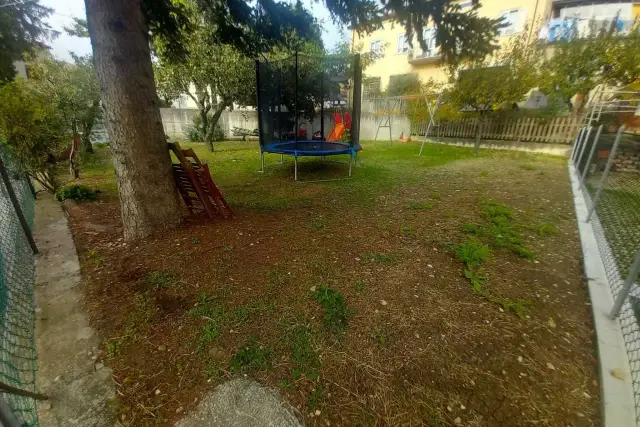 insertion image