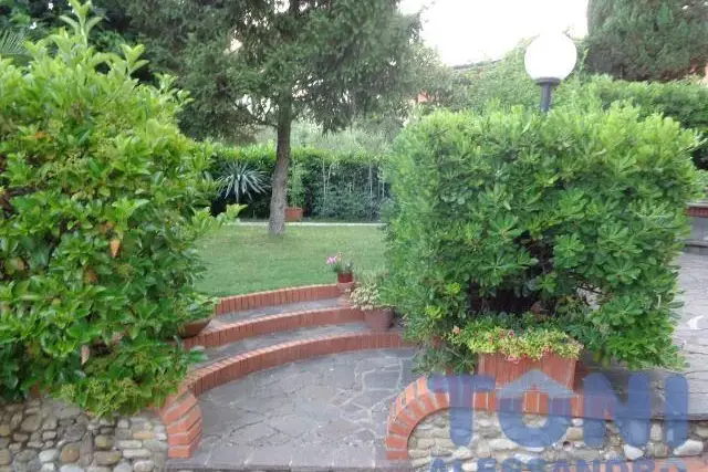 insertion image