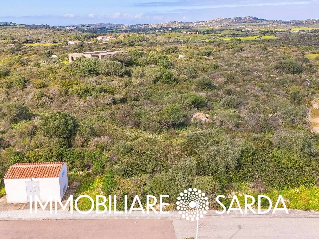 immagine annuncio 5 di 11