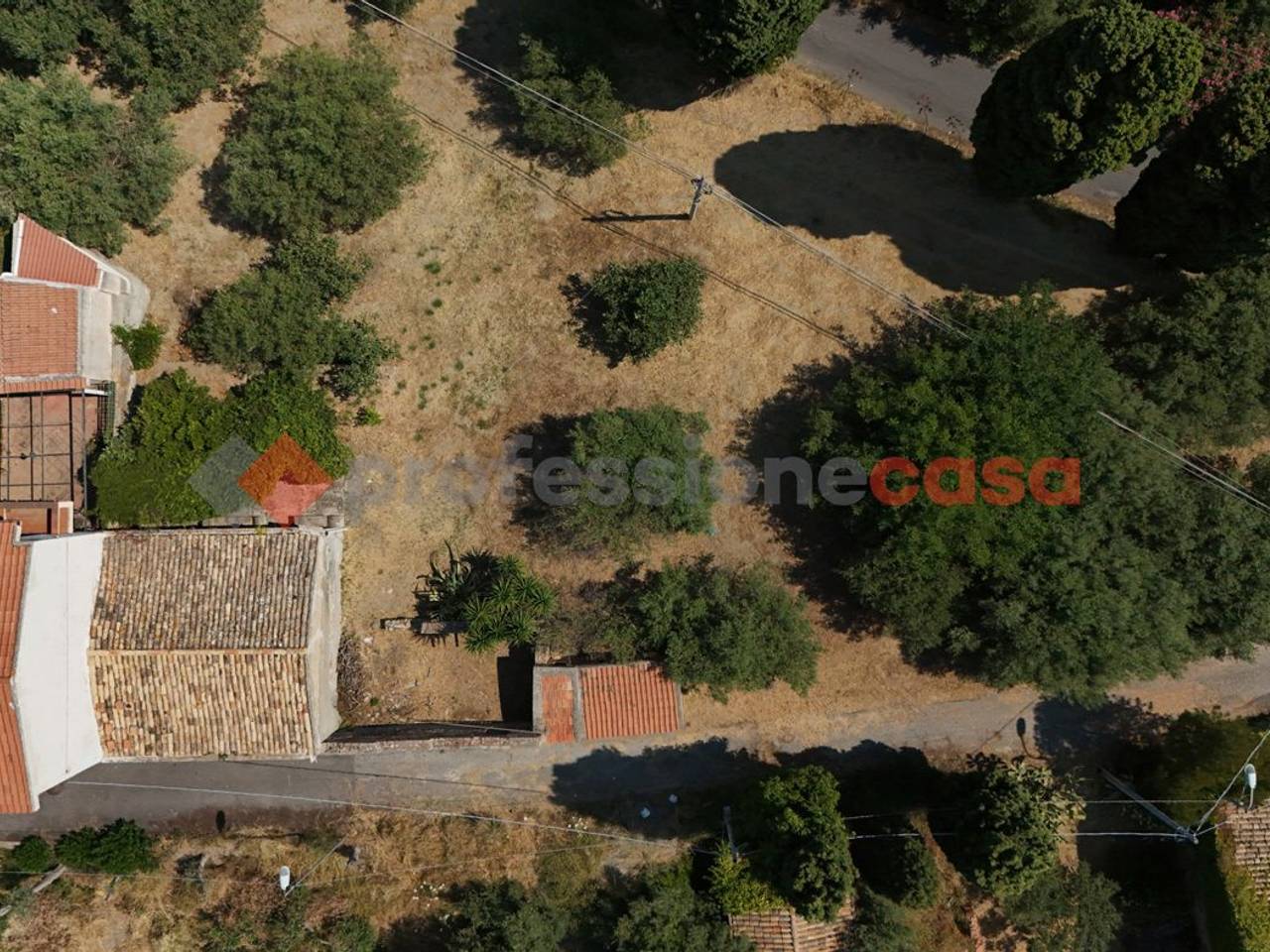 immagine annuncio 4 di 6