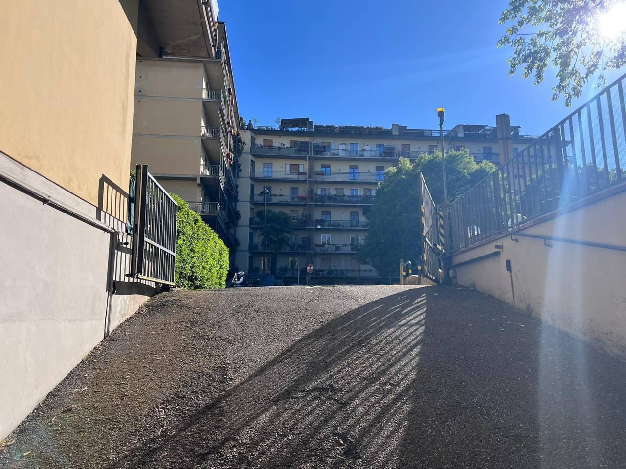 immagine annuncio 10 di 12