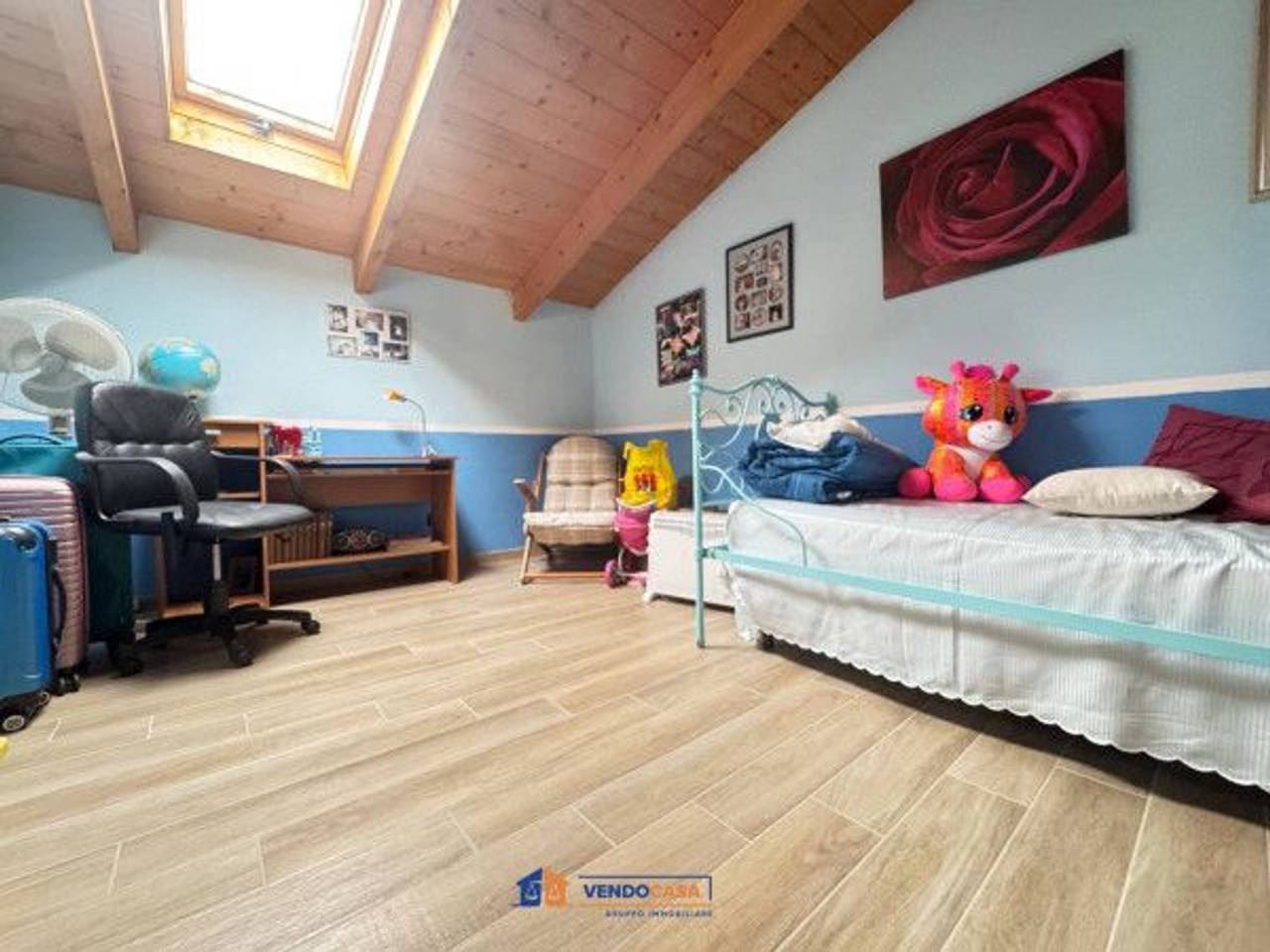 immagine annuncio 12 di 15