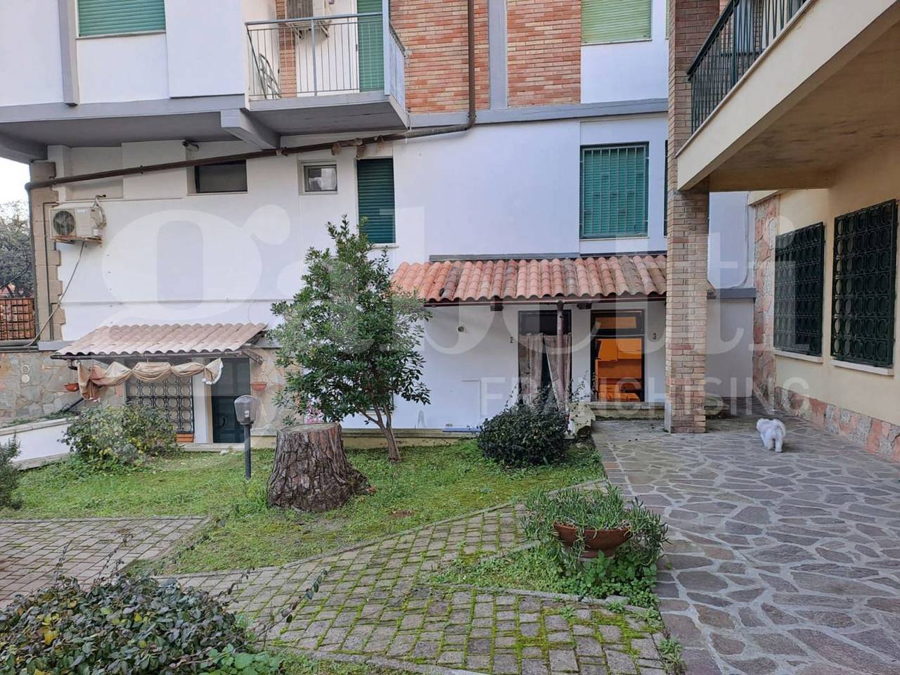 immagine annuncio 4 di 15