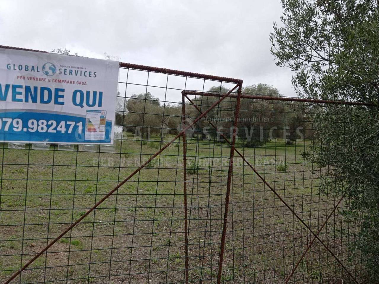 immagine annuncio 13 di 14