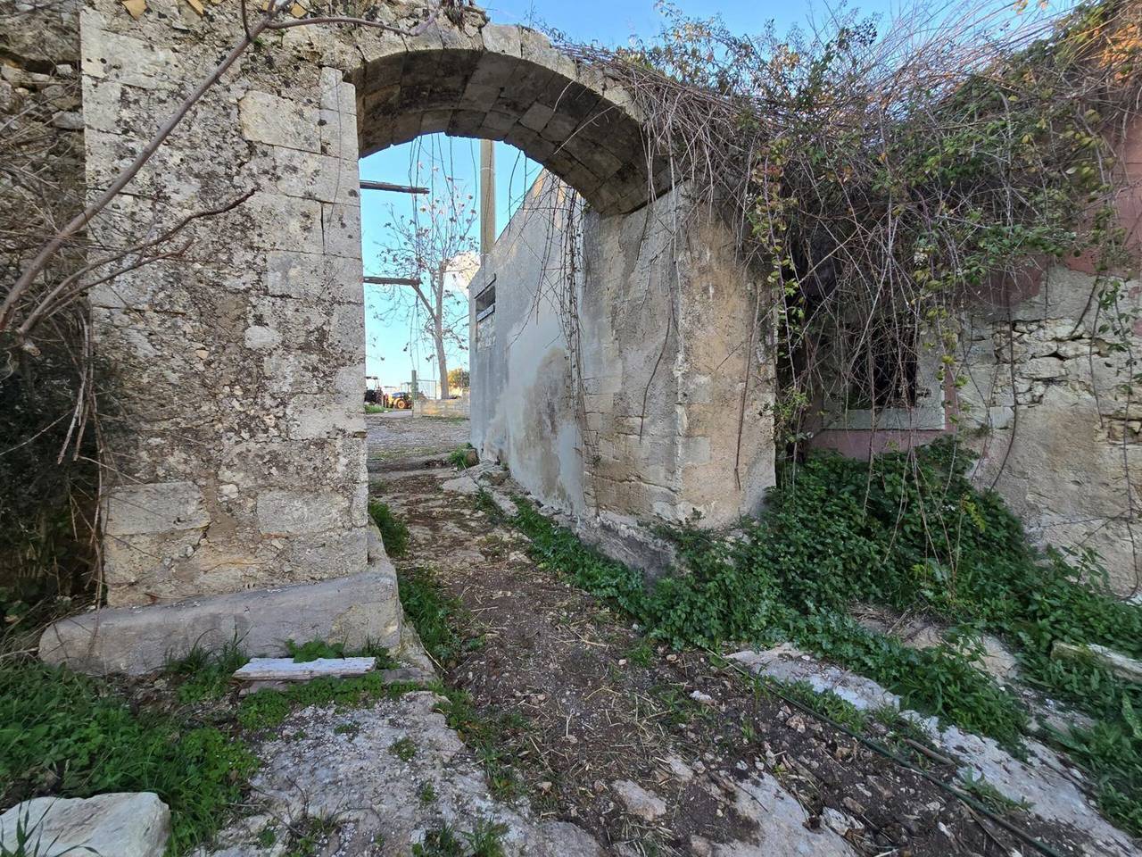 immagine annuncio 6 di 11