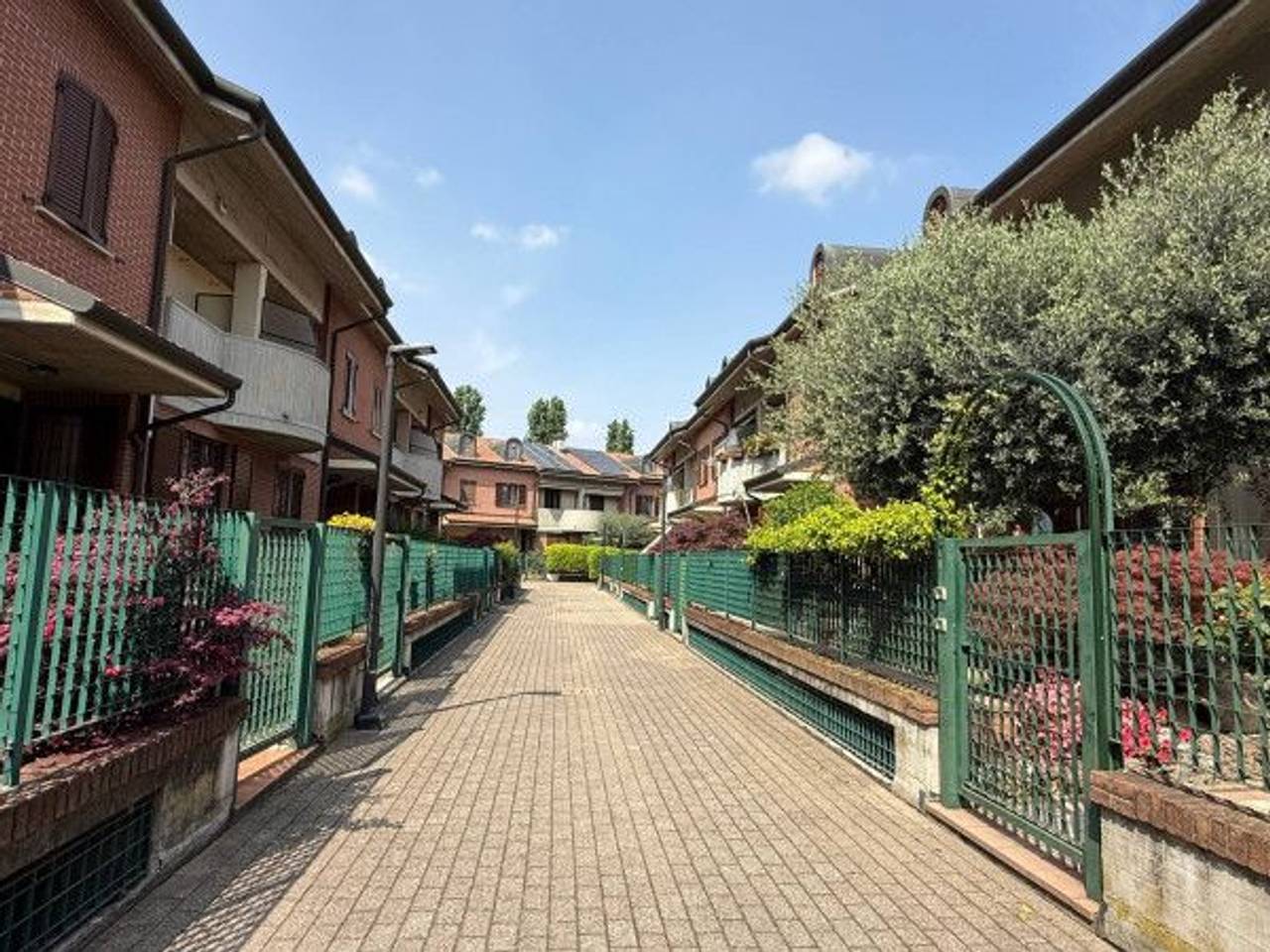immagine annuncio 14 di 15