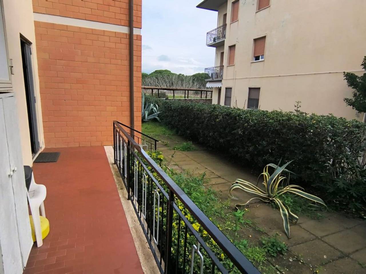 immagine annuncio 4 di 15