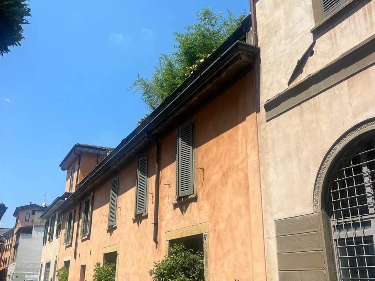 immagine annuncio 3 di 8