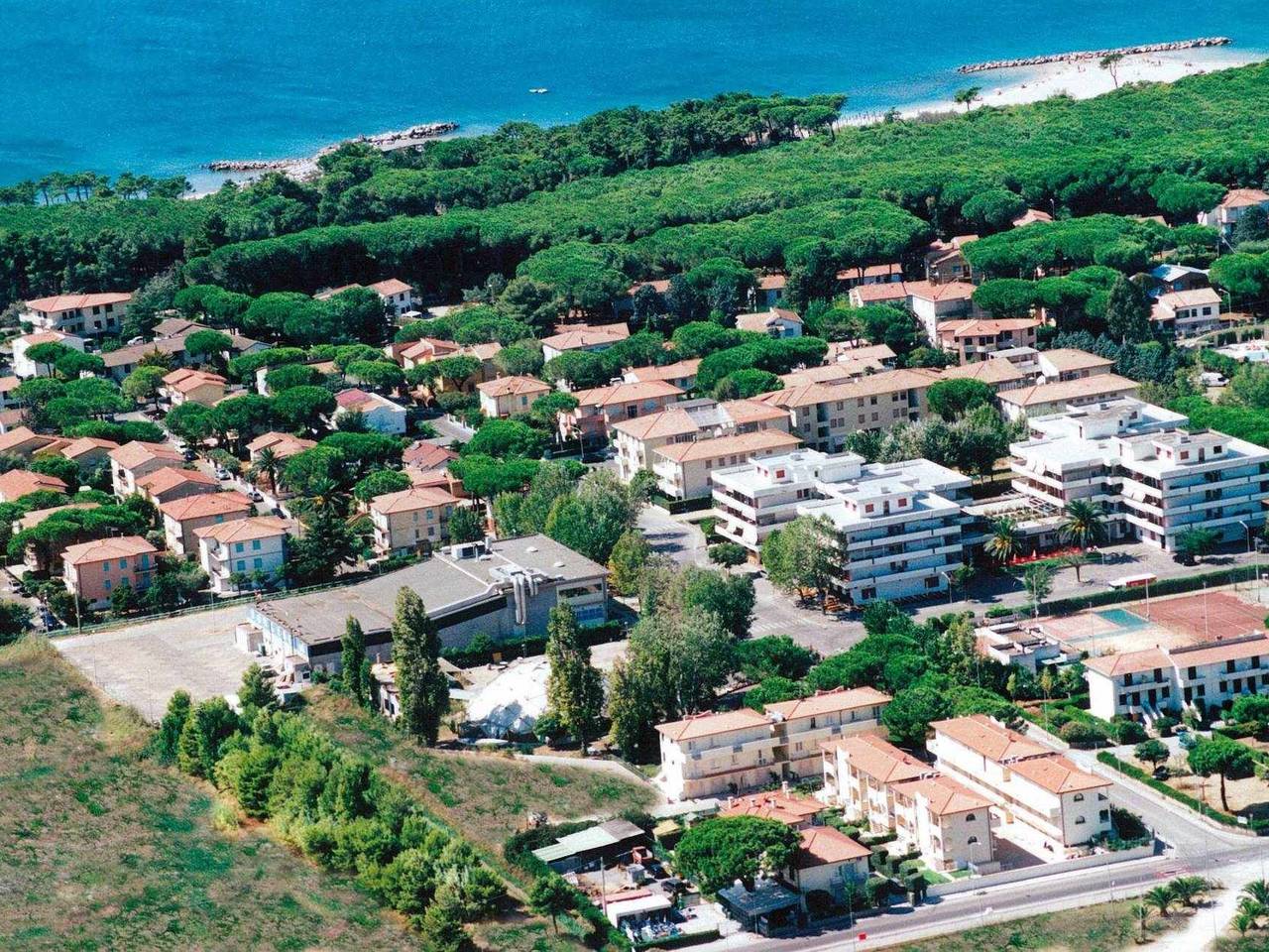 immagine annuncio 13 di 15