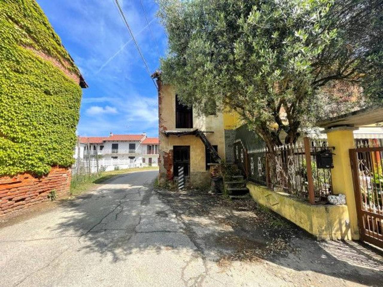 immagine annuncio 12 di 15