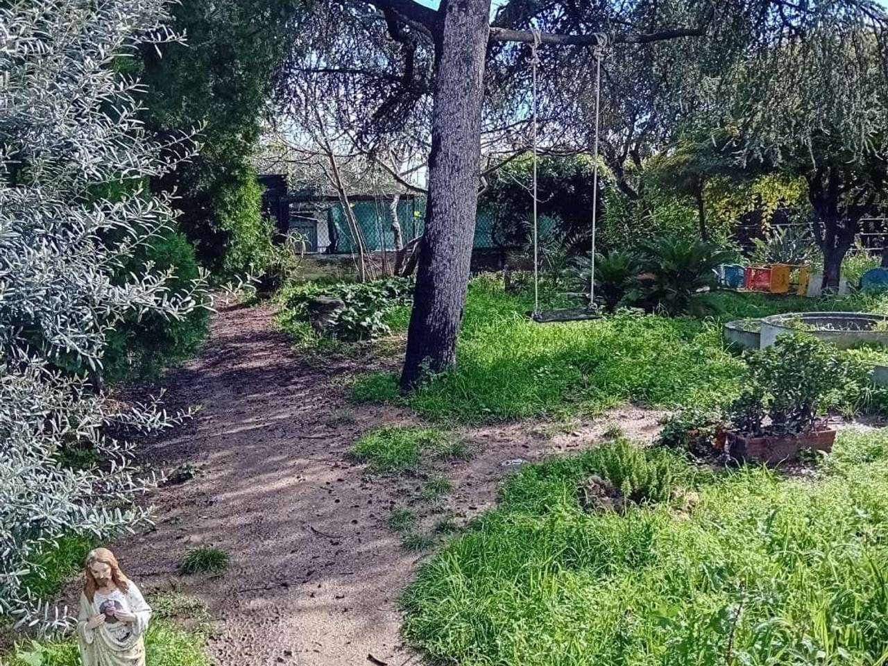 immagine annuncio 6 di 14