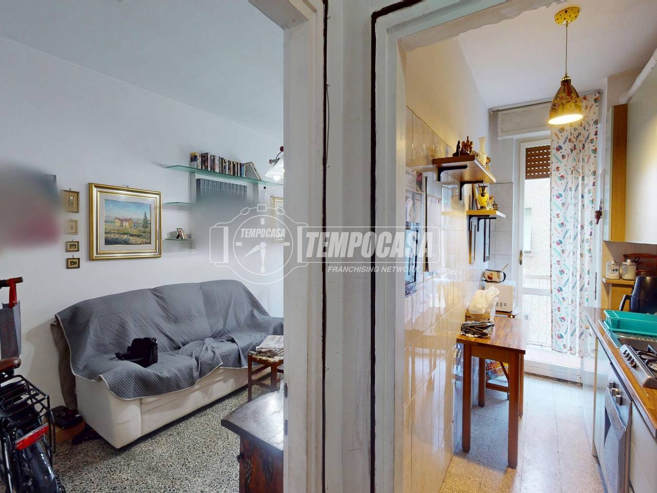 immagine annuncio 6 di 15