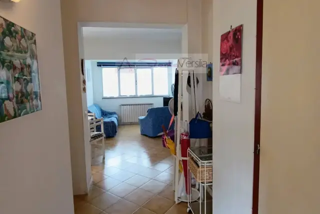 insertion image