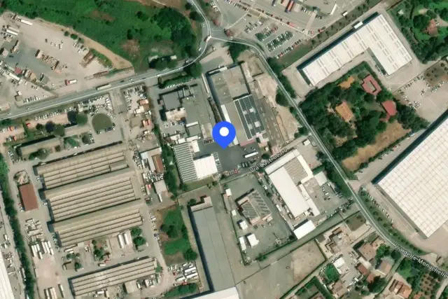insertion image