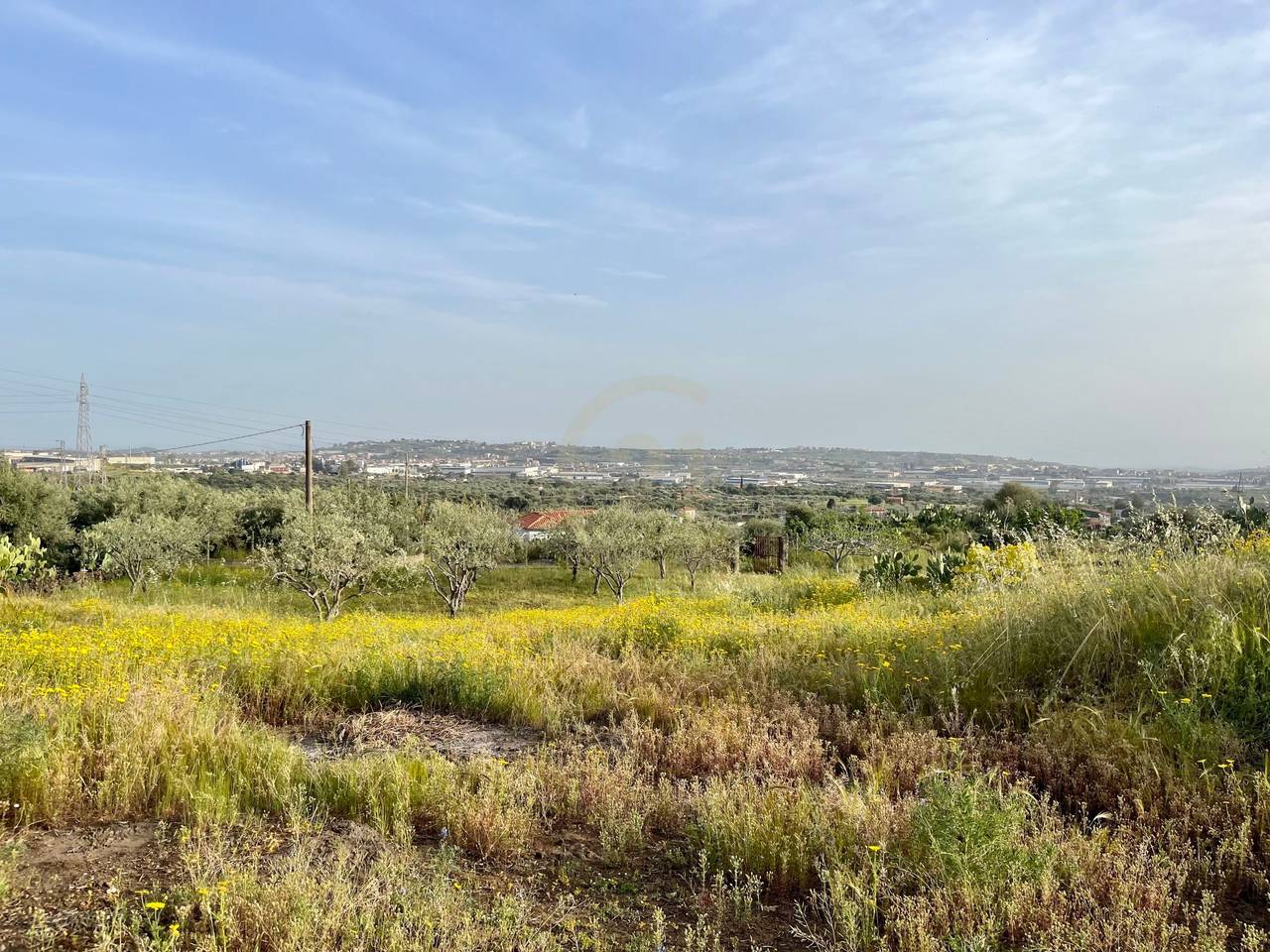 immagine annuncio 2 di 6