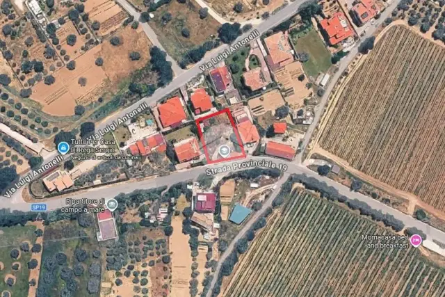 insertion image