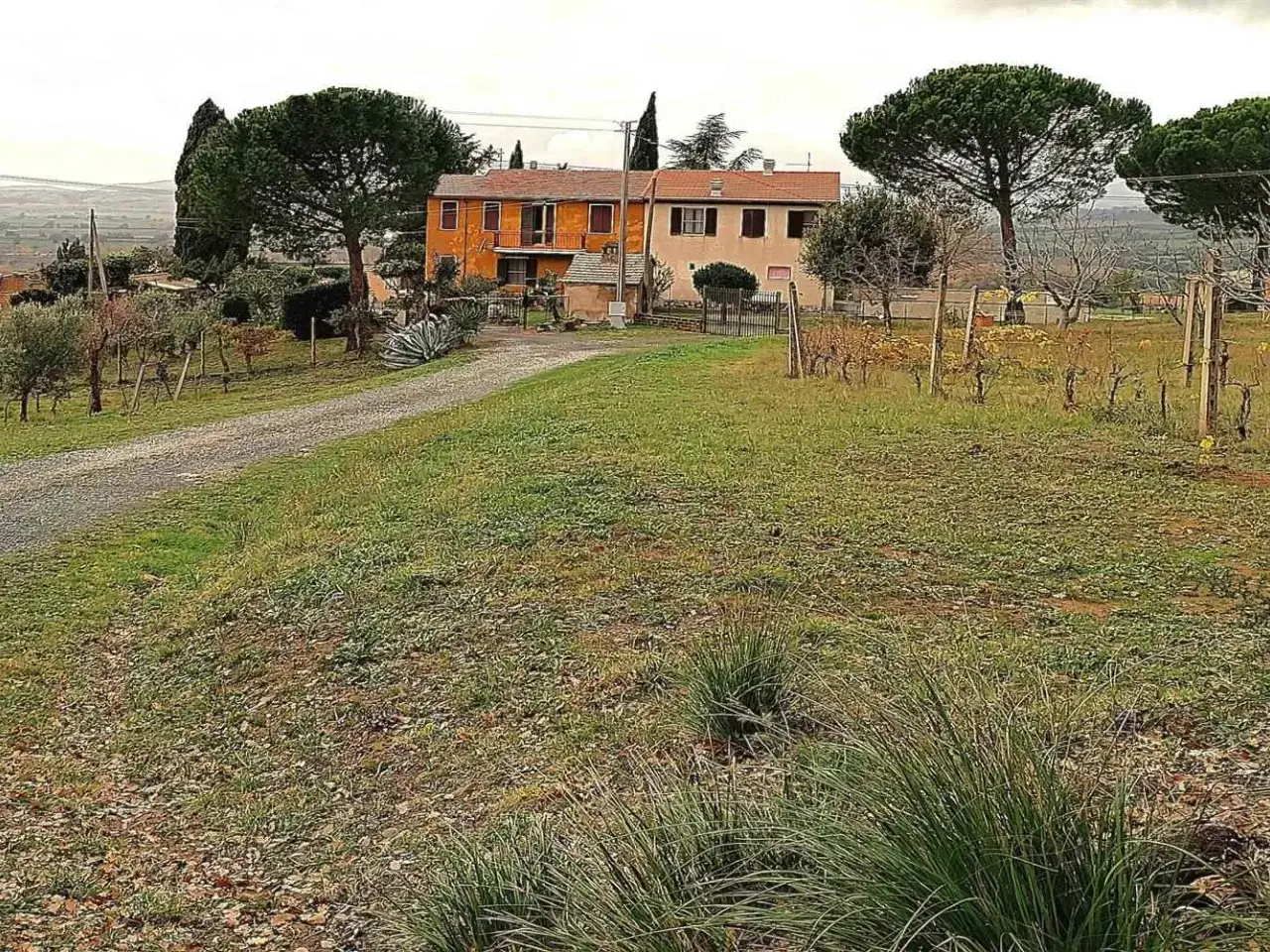Azienda agricola in Oltre Localita' Granaione, Cinigiano, Grosseto, Cinigiano, {3} - Foto 2