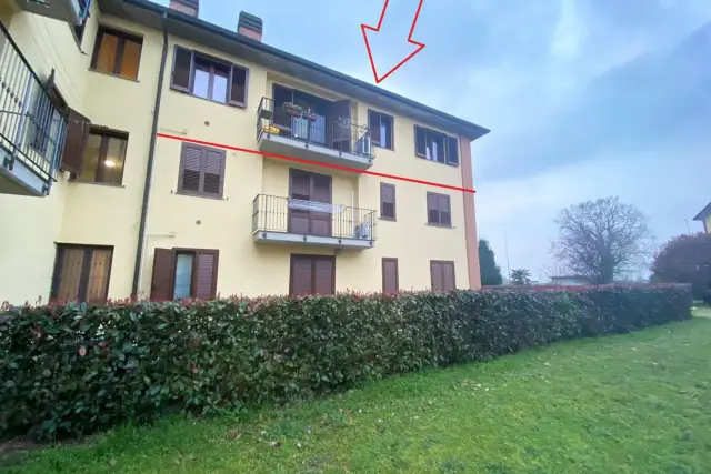 insertion image