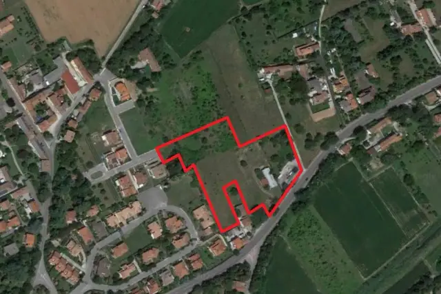 insertion image