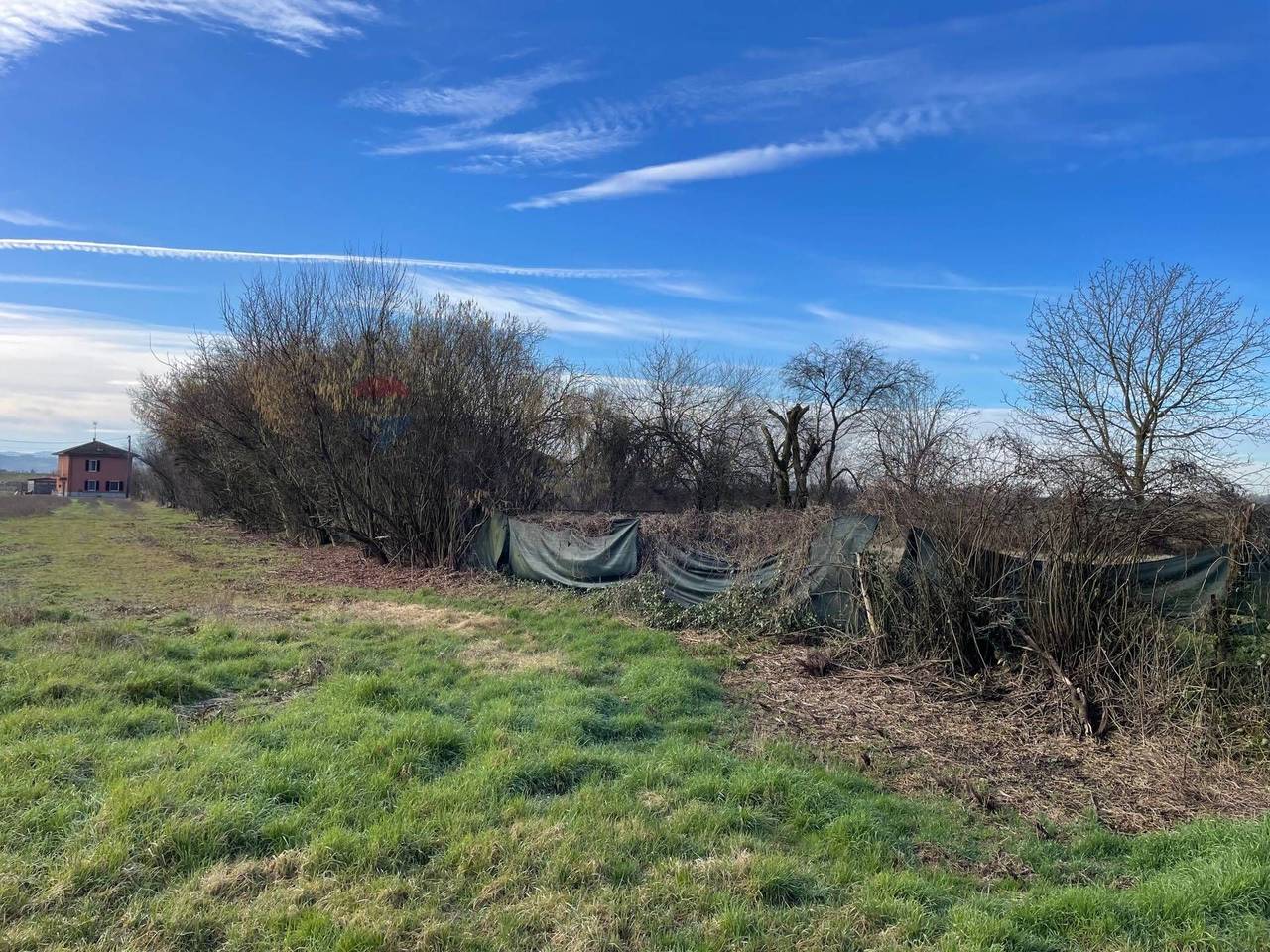 immagine annuncio 4 di 7