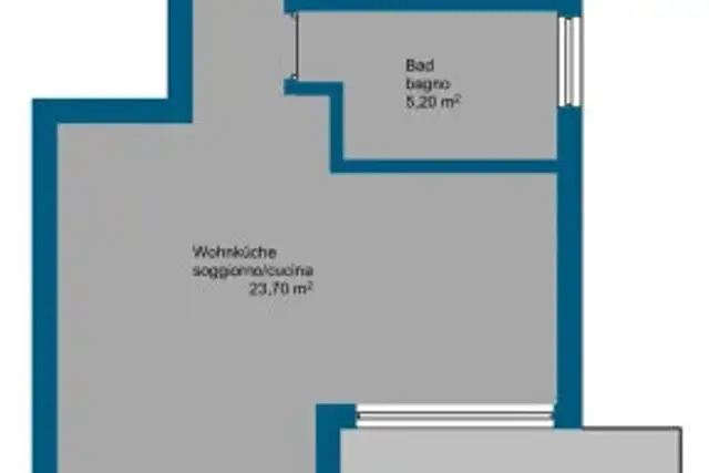insertion image