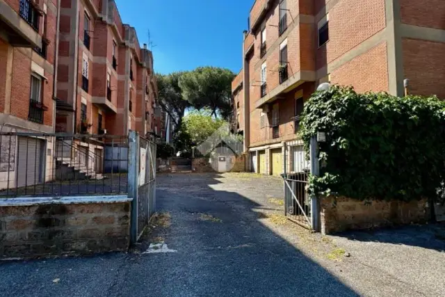 insertion image
