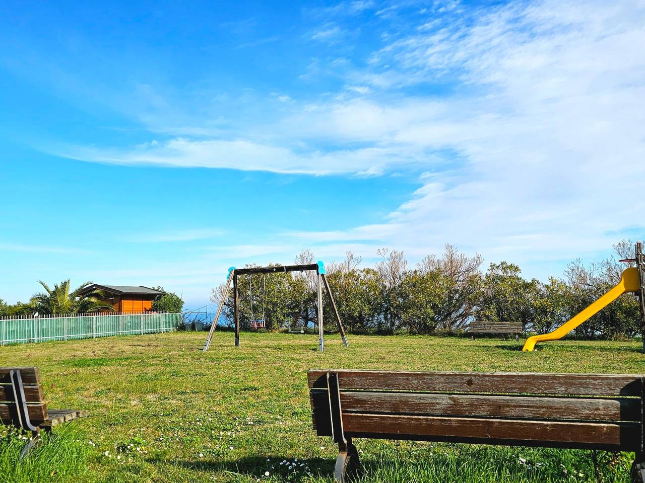 immagine annuncio 10 di 11