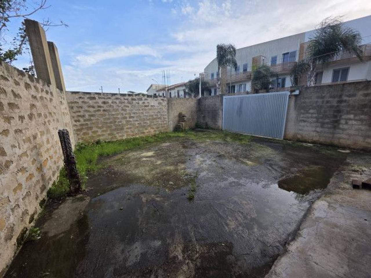 immagine annuncio 9 di 14