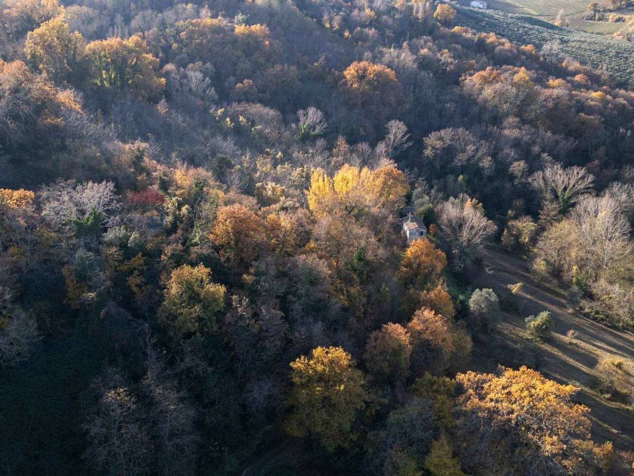 immagine annuncio 4 di 8